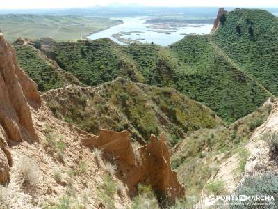 Carcavas de Castrejón (Viernes Semana Santa) senderismo peñalara rutas para caminar